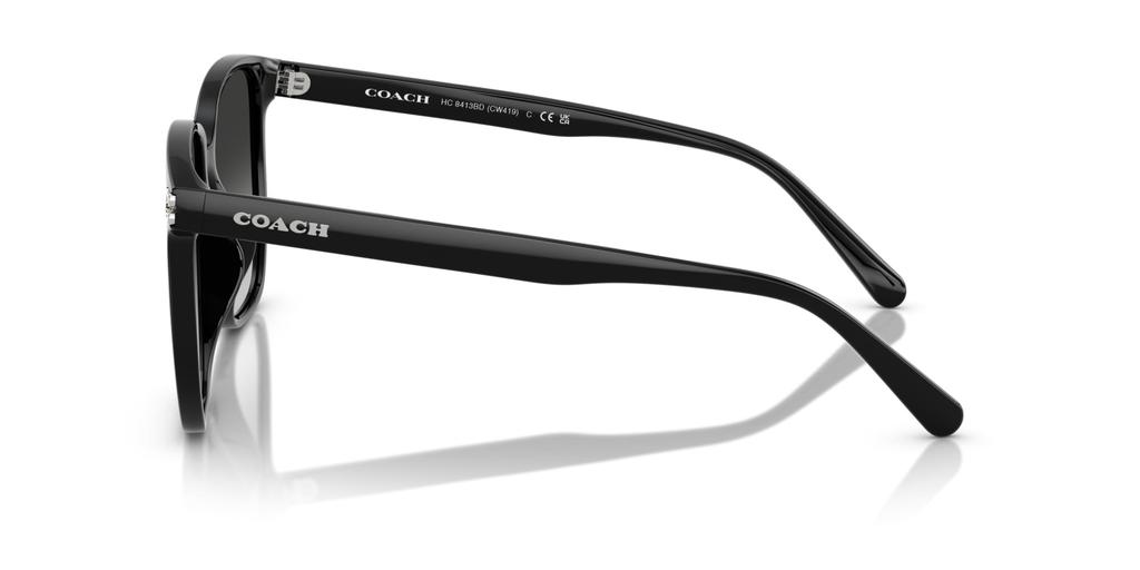 Sunglasses 0HC8413BD BLACK 58 [Coach]