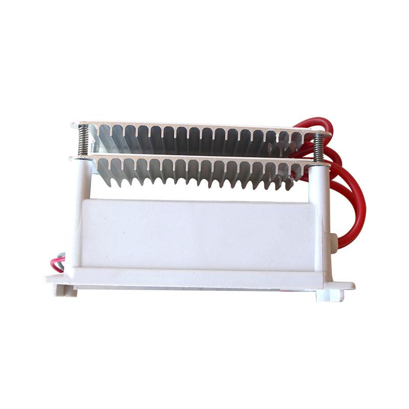 10g/H Ozon Generator Zubehör