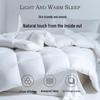 Muji A-Class Antibacterial 100% White Goose Down Winter Comforter