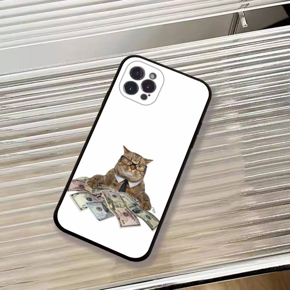 F-Lustige Tierkatze Handyhülle Silikon Weich Für IPhone 17 16 15 14 13 12 11 X XR Plus Pro Max Plus