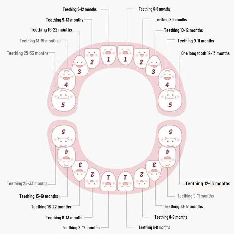 Kids' Tooth Storage Box: Commemorative Tooth Collection for Boys & Girls
