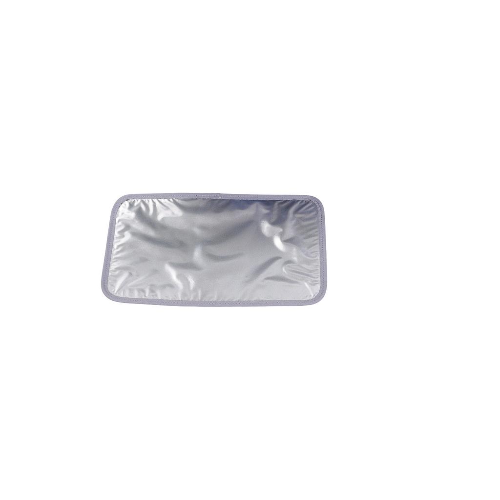 Borsa Frigo Isotermica Portatile 25L Borsa Riscaldante per Cibo Scaldavivande Semiconduttore Pieghevole Morbida Borsa Refrigerante per Spiaggia Viaggio