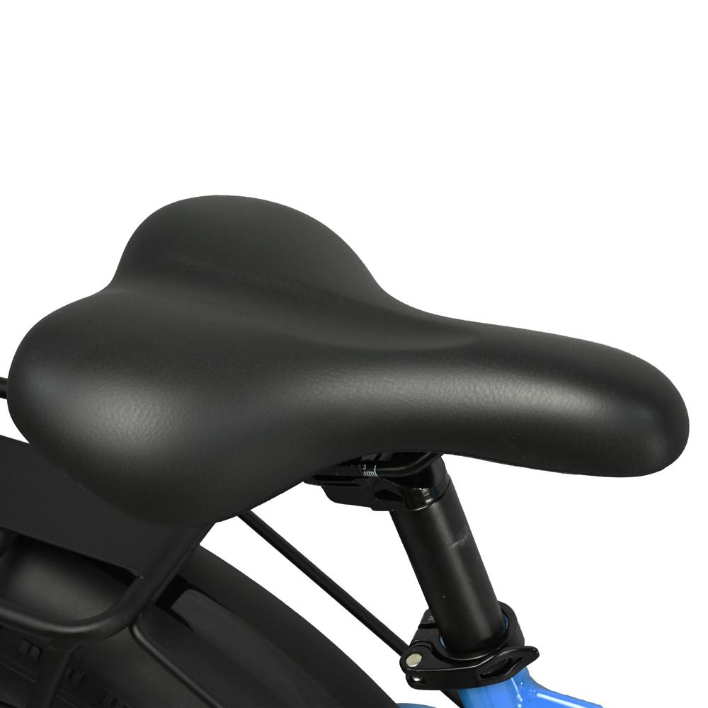 BAOLUJIE DP-2619 Speichenrad Erwachsenen Elektrofahrrad 750W Motor 48V13AH Batterie 26*4 Zoll Fat Tire E-Bike Mountain Offroad Elektrofahrrad