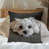 1pc Maltese Dog Simulation Pillowcase 17.71x17.71 Inches 45x45cm - Modern Style Zipper Closure, Machine Washable Decorative Cushion Cover, Suitable Fo