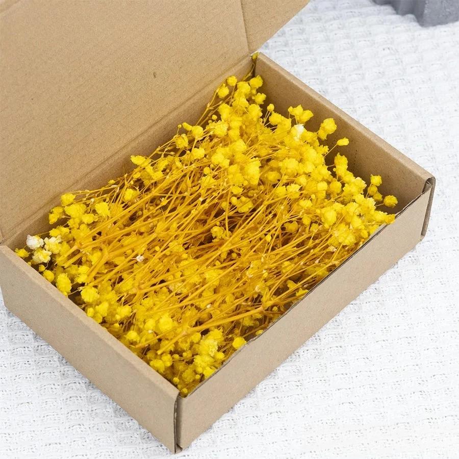 

50 шт. Сушеные цветы Дыхание букет Звездное небо Ароматерапия Украшение Праздничное украшение Ваза D Маленькая упаковка Украшение Подарок