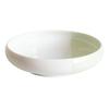 Transparan One Plate Plate Nicotto Nicot 16cm Mino Ware Easy To Scoop Tableware Made In Japan Dishwasher Safe Microwave Safe (Green)
