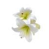 Elegant Flower Hair Claw Clip For Women Girls Secure Hold Styling Accessory Plastic Hair Decoration for Wedding Party