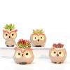 Ceramic Owl Flower Pot Cute Animal Thumb Flower Pot Mini Succulent Cactus Flowerpot Home Living Room Office Decoration Gifts