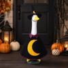 Halloween Witch Costume 23 Inch Decorative Goose Outdoor Yard Decoration Set Woolen Cape Hat