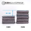 Set of 5 White Thick Face Hydro Silver 34cm x [WEB Exclusive] Towels, Antibacterial, Odor-Resistant, Doctor-Designed Titanium, Absorbent, Approx.