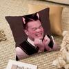 J-JYP Meme Pillow Case Silky elegant Comfort Sofa Bed Invisible zipper Beach pillowcase