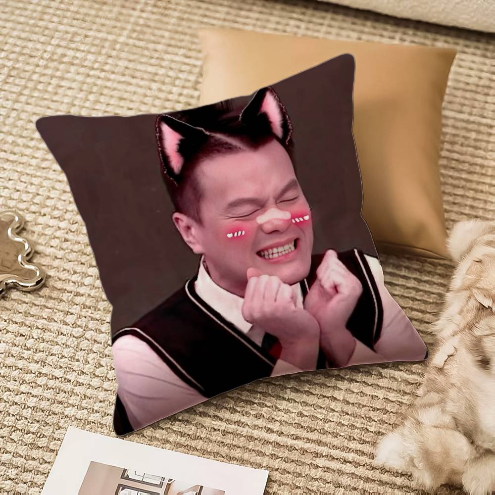 J-JYP Meme Pillow Case Silky elegant Comfort Sofa Bed Invisible zipper Beach pillowcase