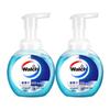 Walch Foaming Hand Wash - Healthy Care (2 X 225ml)