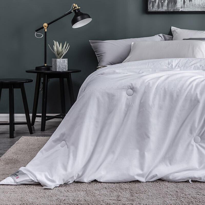 SILKUEEN 100% Mulberry Silk Summer Quilt