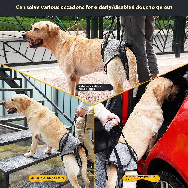 Adjustable Rear Leg Support Dog Harness for Injured Senior Dogs Pet Rehabilitation Sling Assistive Mobility Aid