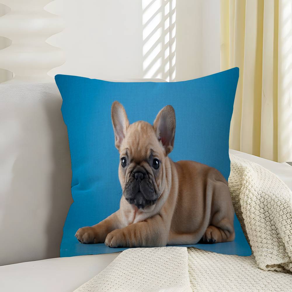 Anime French Bulldogs Lucky Dragon Pillow Cover Sofa Cushion Cover Home Room Decoration Children Gift