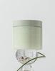 Houttuynia Cordata Baja Eraser Peeling Pad