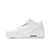 Air Jordan 3 Retro 'Pure Money' 2007 (Unisex) White / Metallic Silver Vintage Basketball Shoes 136064 103
