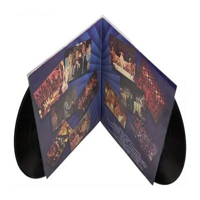 3/5/15/20 Stück Doppelseitige Faltbare Vinyl-Albumhüllen LP Schallplattenhülle Antistatisch Staubdicht Doppelseitig Offen Schallplattenschutz