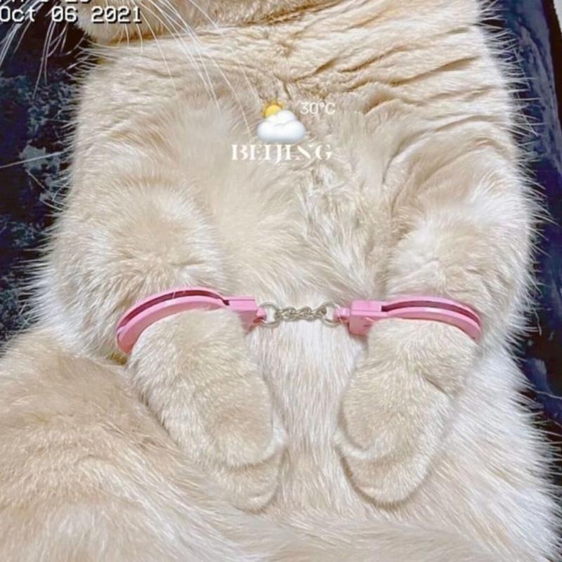 Creative Cats Training Hand Cuffs Tool Safe and Fun For Pet Interaction And Behavior Correction Entertainment Accessory