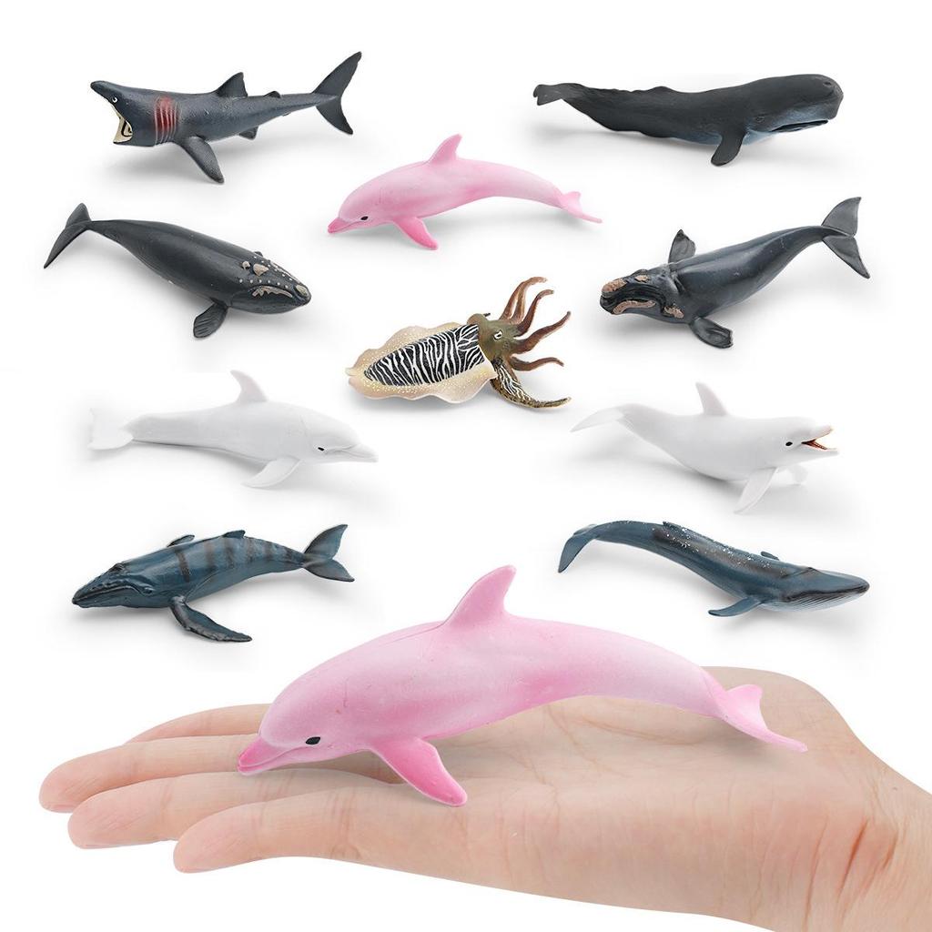 Children's Marine Life Humpback Whale Model Toy Simulation