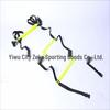 YTYIN Speed and Agility Training Kit CN plug (adapter included)