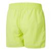 Speedo Boys Essential Swim Shorts