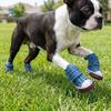 4pcs/set Adjustable Non-Slip Pet Shoes Breathable Rubber Soles Dog Canvas Sneakers Wear-Resistant Dog Casual Shoes Pet Supplies