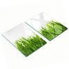 Multifunctional Decorative Kitchen Boards Tempered Glass Grass 2X40X52 Cm
