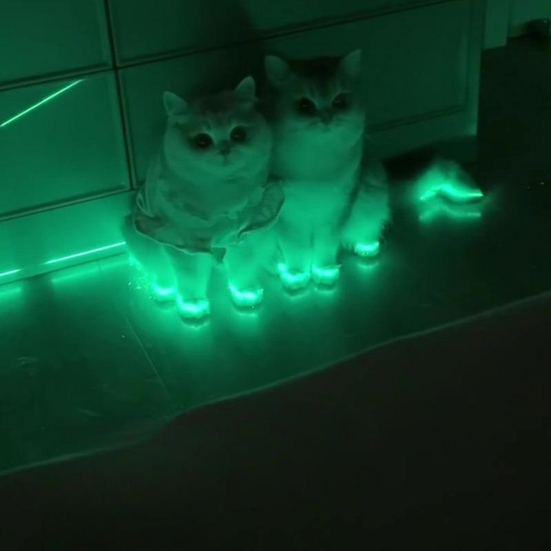 Cat Luminous Stickers Adhesive Tape Night Home Indoor Outdoor Self  Luminous Fluorescent Strips Stair Warning Tape DIY Stage