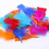 50Pcs Big Head Boy Flat Turkey Feather Color Diy Feather Jewelry Handicraft Accessories Clothing Accessories
