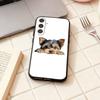 Yorkshire Terrier Dog Yorkie Puppy  Phone Case For Samsung Galaxy A73,A72,A71,A70,A53,A52,A51,Others Soft Black Shell