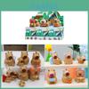 Capybara Character Miniatures Pvc Toys For Desk Decor And Gifts