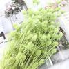 Preserved Eryngium Blue Planet Glass Dome DIY Wedding Flowers