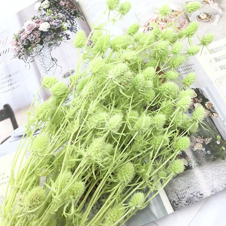 Preserved Eryngium Blue Planet Glass Dome DIY Wedding Flowers