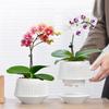 Breathable Double-Layer Root Control Flower Pots Set