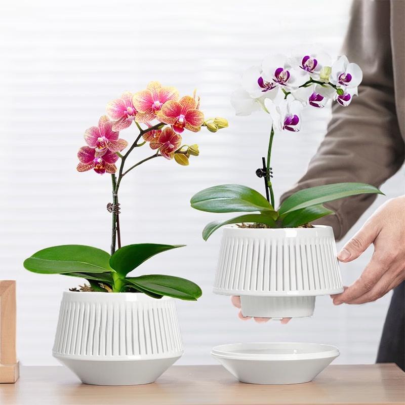 Breathable Double-Layer Root Control Flower Pots Set
