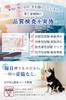 Supervision Featured In Croissant Washable Pet Dog Toilet Waterproof Pee Antibacterial Size 2 Sheets X 33 [Veterinarian × Magazine] Sheets, Pads,