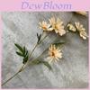 Long Stem 6 Head Daisy Silk Flower For Wedding Decor And Home Styling