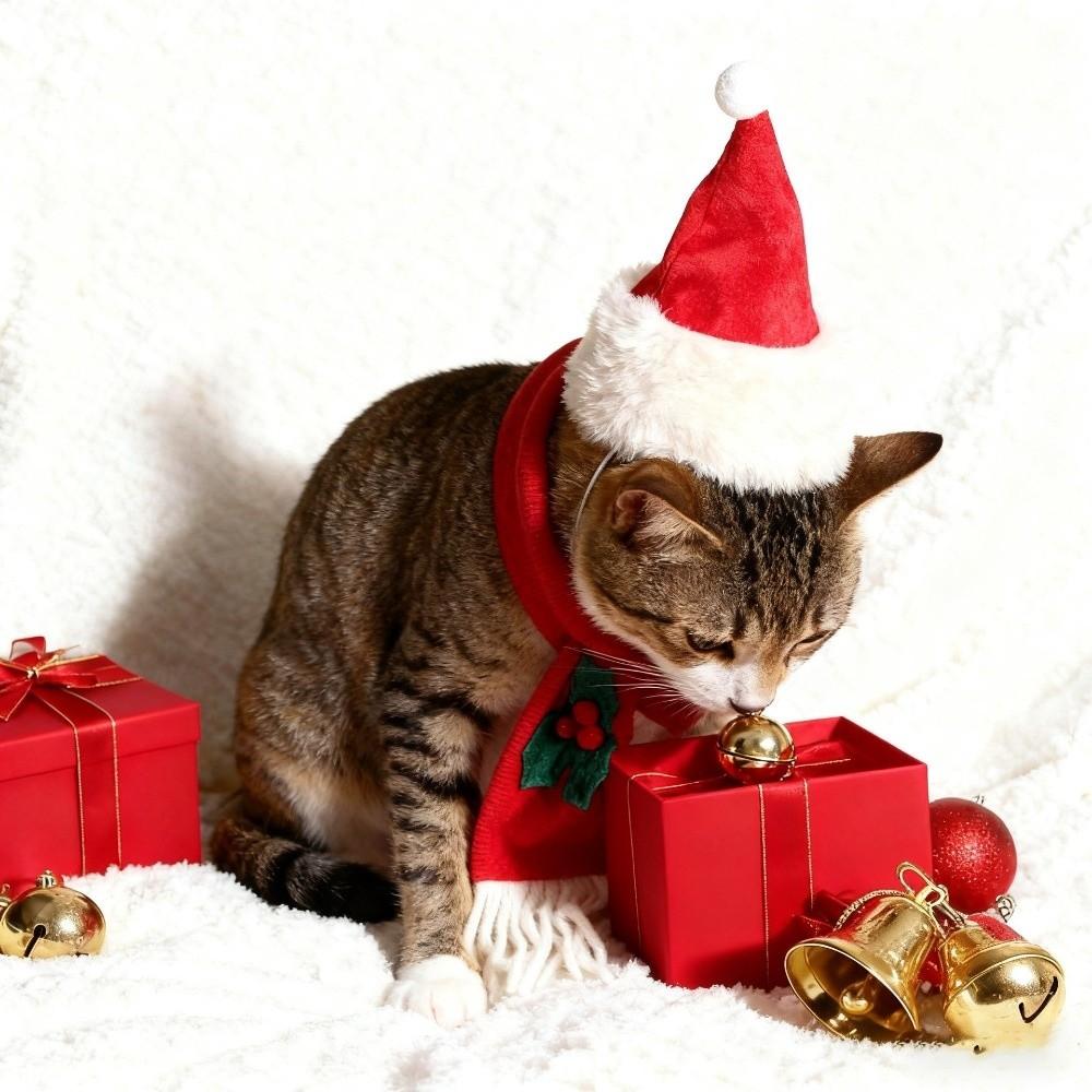 2Pcs/Set Winter Dog Scarf Collar Christmas Cat Scarf Hat Small Dog Accessories for Puppy Kitten