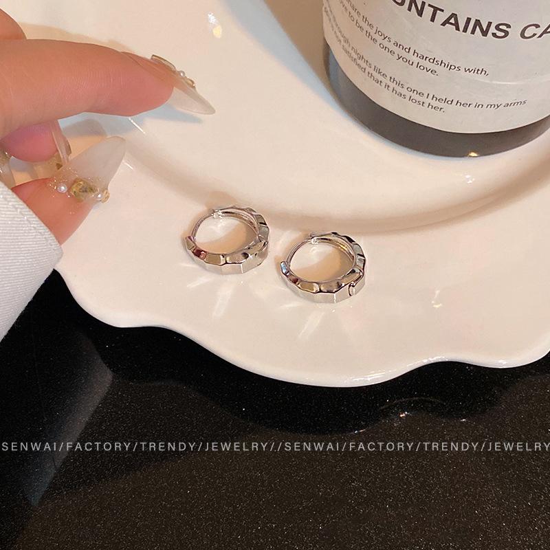 Metal Texture Small Earrings Women's Cold Wind Temperament Earrings Design Earrings