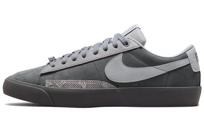 Sb Blazer Low Fpar Cool Grey DN3754-001