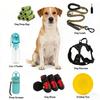 Cães – Cuidados de cães