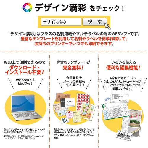 Plus Color Laser Paper Double-Sided Matte Paper A4 Medium Weight 100 Sheets PP-120WX-T 56-205 White