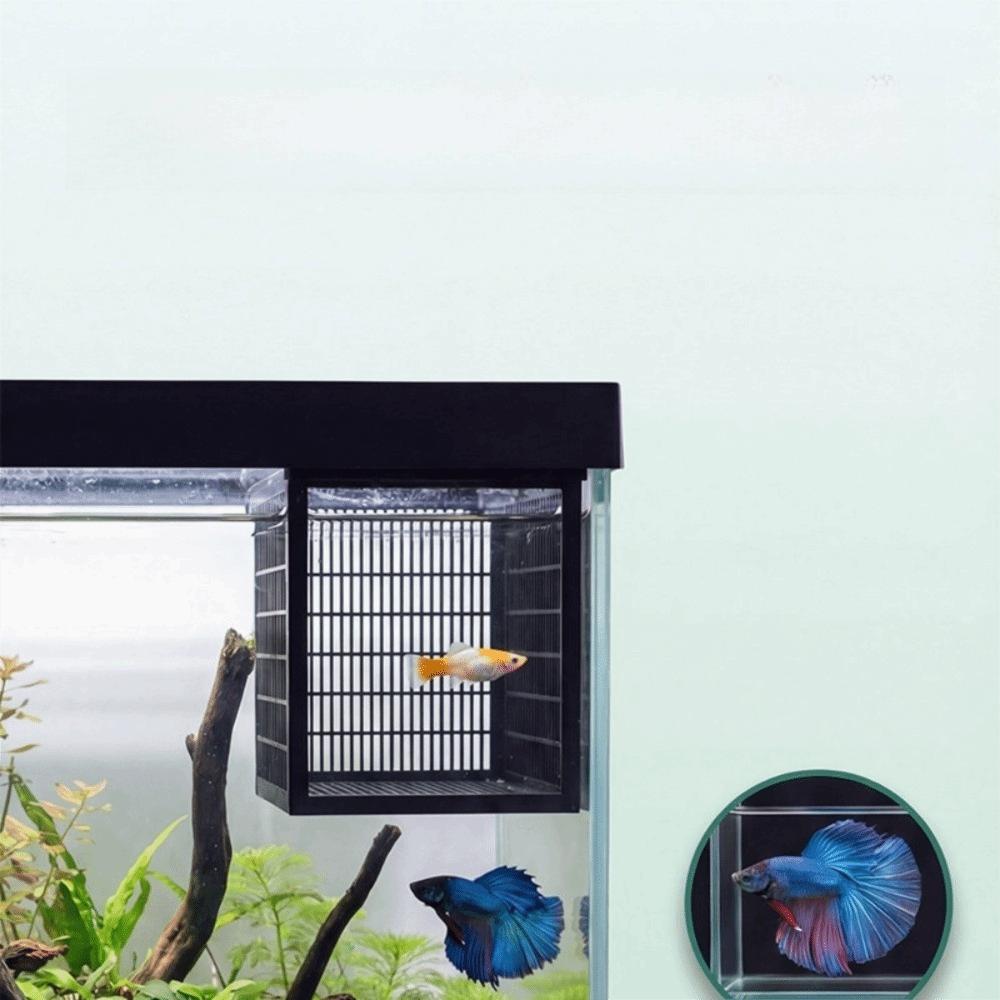 Breeding Use Fish Breeding Box Solid Partition Guppy Incubator Fry Rearing Container Fry Rearing
