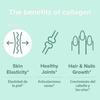 Collagen Complex 3300mg- Type I, II, III, V, X - Hydrolyzed Collagen, Anti-Aging