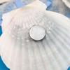 Starfish Conch Shell Refrigerator Magnet 3D Ocean Beach Fridge Magnet Home Kitchen Office Decoration Summer Birthday Gift