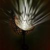 Solar Wrought Iron LED Flame Moon Landscape Lights for Outdoor Courtyards and Villas