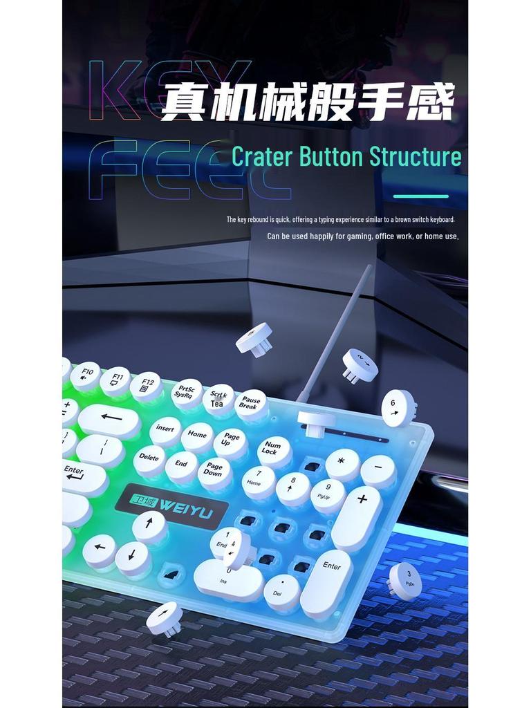 Luminous Punk Keycaps Wired Keyboard & Mouse Set for Gaming
