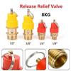 Blow-off Valve 120PSI 8KG Air Compressor Accessories